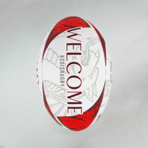 Ballon Replica RWC 2023 WALES - T5 -  BERUGBE